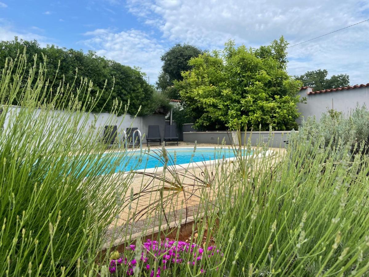 Villa Elisa Kaštelir Kültér fotó
